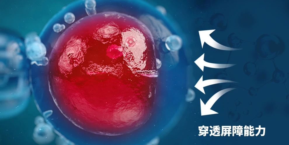 艾詩(shī)特蝦青素