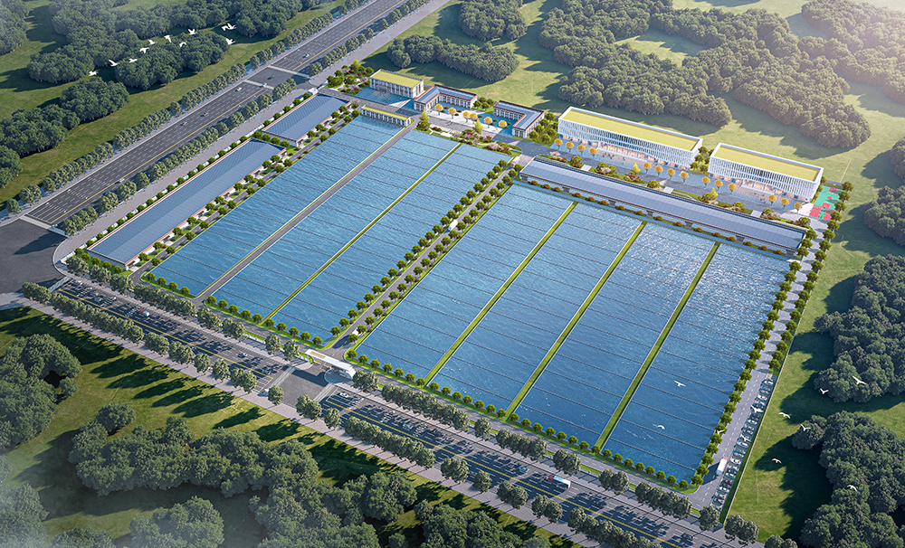 艾詩(shī)特蝦青素