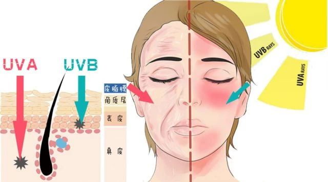 艾詩(shī)特蝦青素