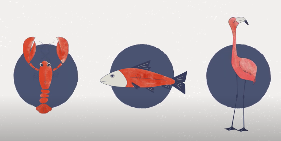 艾詩(shī)特蝦青素