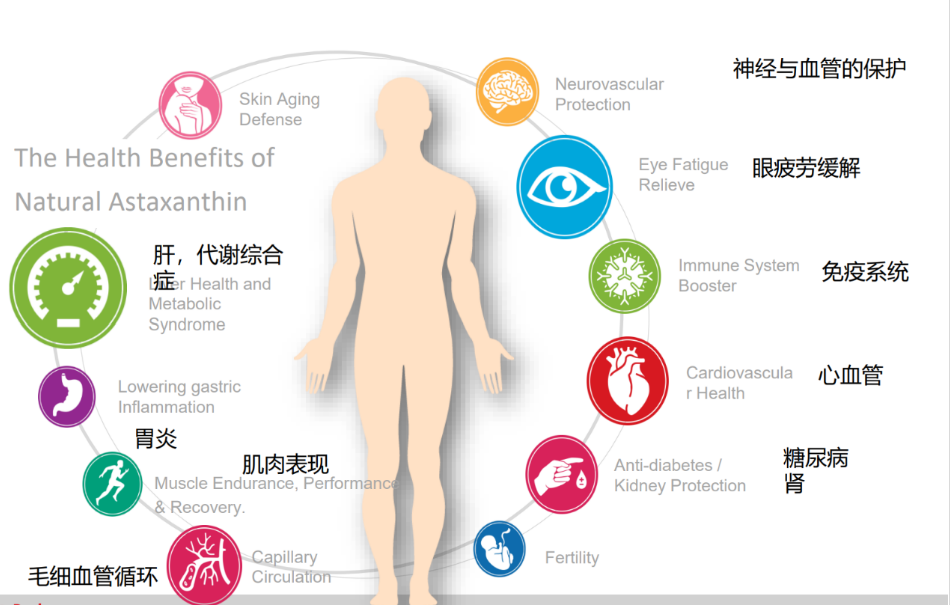 艾詩(shī)特蝦青素