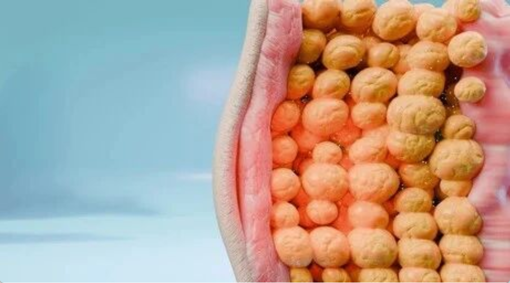 艾詩(shī)特蝦青素