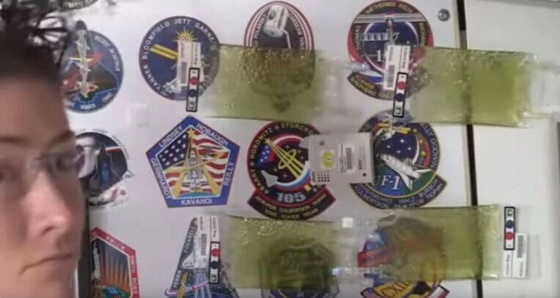 艾詩(shī)特蝦青素