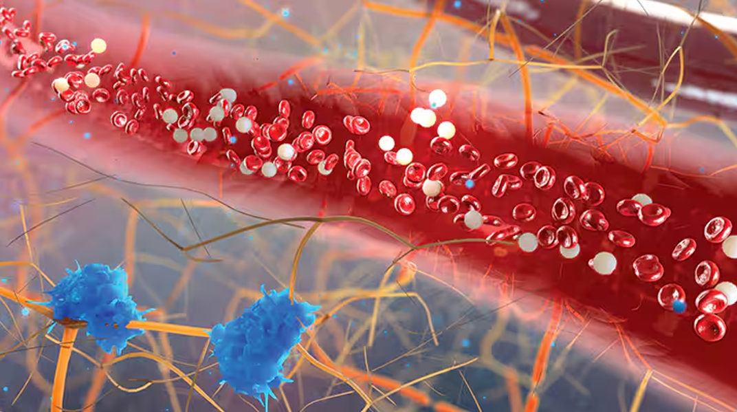 艾詩(shī)特蝦青素