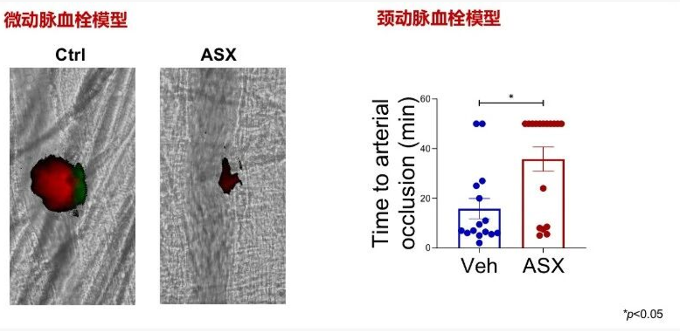 艾詩(shī)特蝦青素