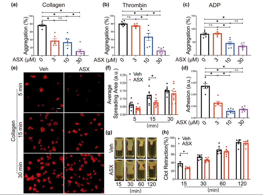 艾詩(shī)特蝦青素