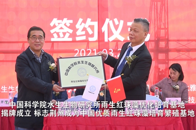 中國(guó)科學(xué)院水生物研究所雨生紅球藻培育基地