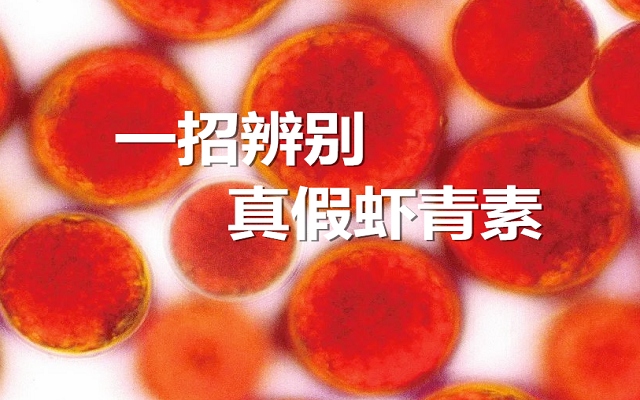 【實驗】手把手教你，一招辨別真假蝦青素！