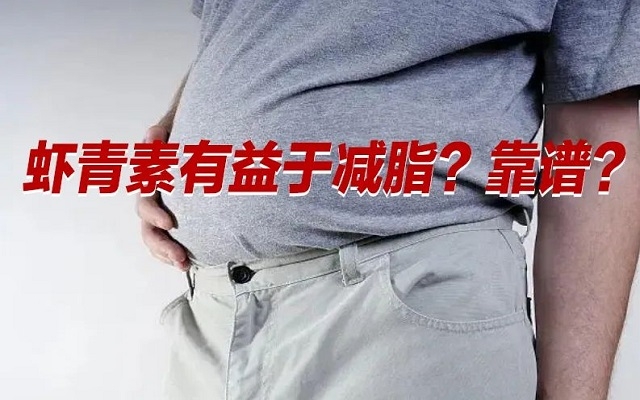 【冷知識】肥胖居然是一種炎癥！蝦青素有益于“消炎”？