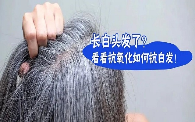 防治白發(fā)要從抗氧化開始？