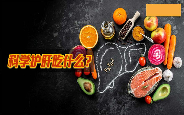 科學護肝吃什么？