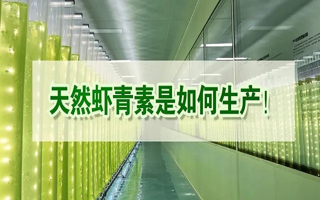 天然蝦青素是如何生產(chǎn)？走進源頭工廠看一看！