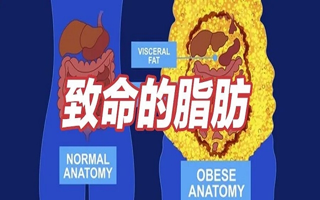 這種致命的脂肪，你可能正在瘋狂囤積！1分鐘自測(cè)!